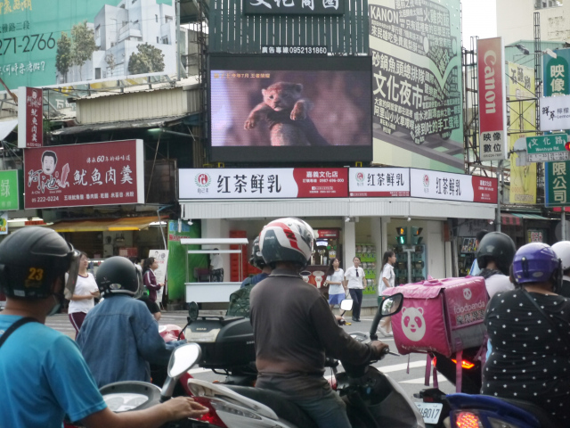 嘉義文化夜市商圈電視牆
